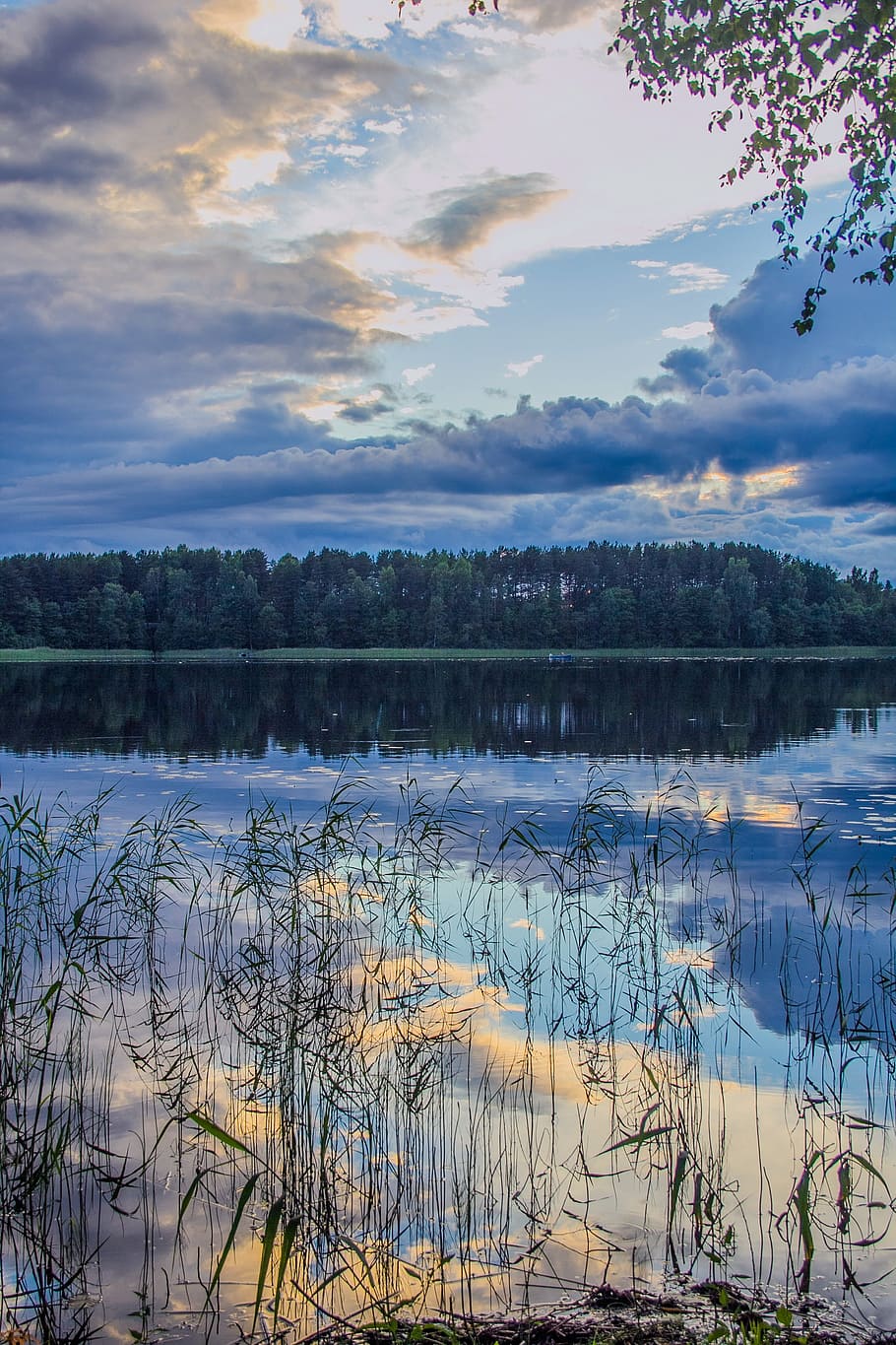 evening, lake, reflection, landscape, cloud - sky, water, tranquility HD wallpaper