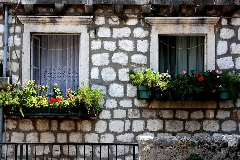 dubrovnik, window, flower, beautiful, home, composition, aesthetics HD wallpaper