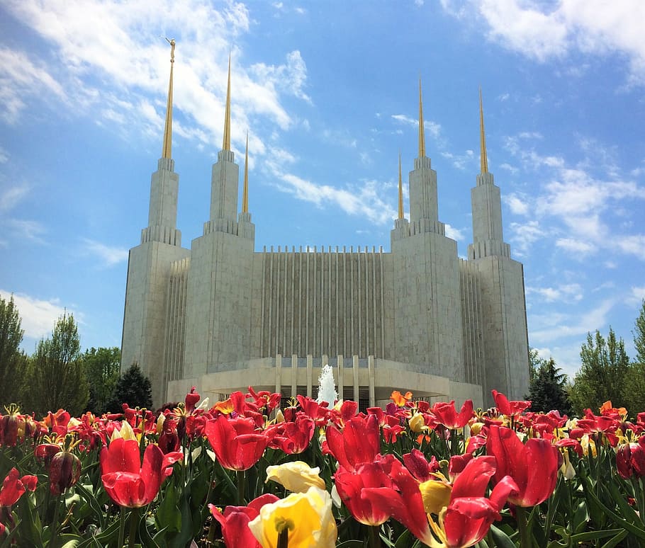 gray concrete building near red flowers, mormon, lds, temple