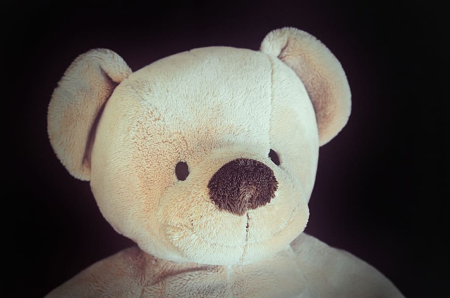 Teddy Bear, Soft Toy, stuffed animal, portrait, retro look HD wallpaper