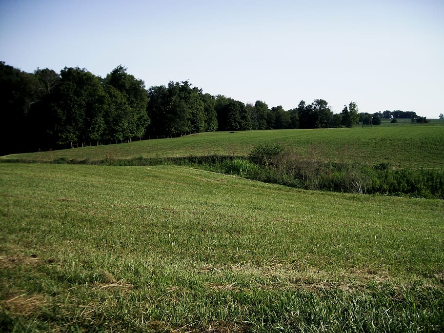 ohio, country, field, green, rural, america, farm, countryside, HD wallpaper