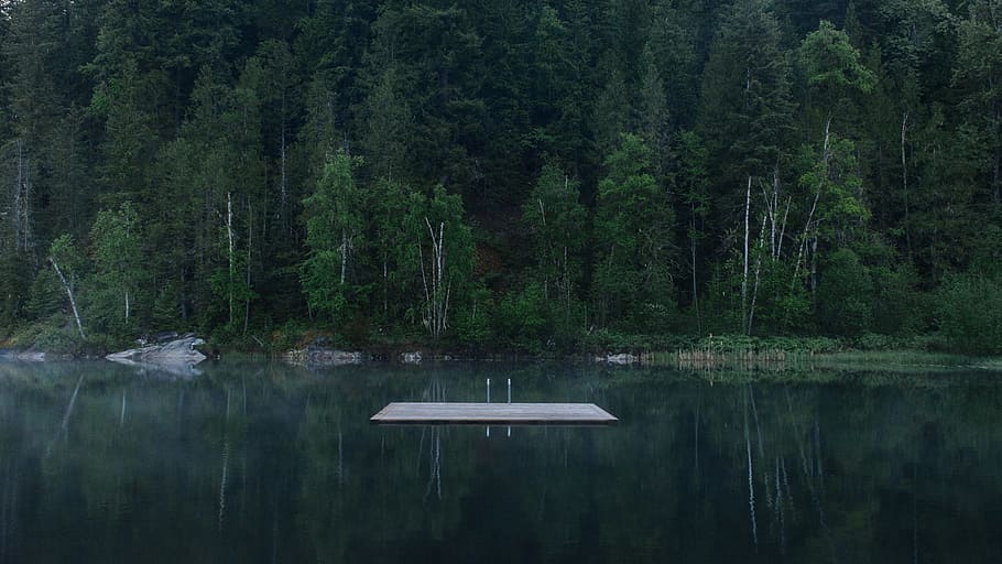 nature, landscape, trees, forest, woods, dark, night, lake HD wallpaper