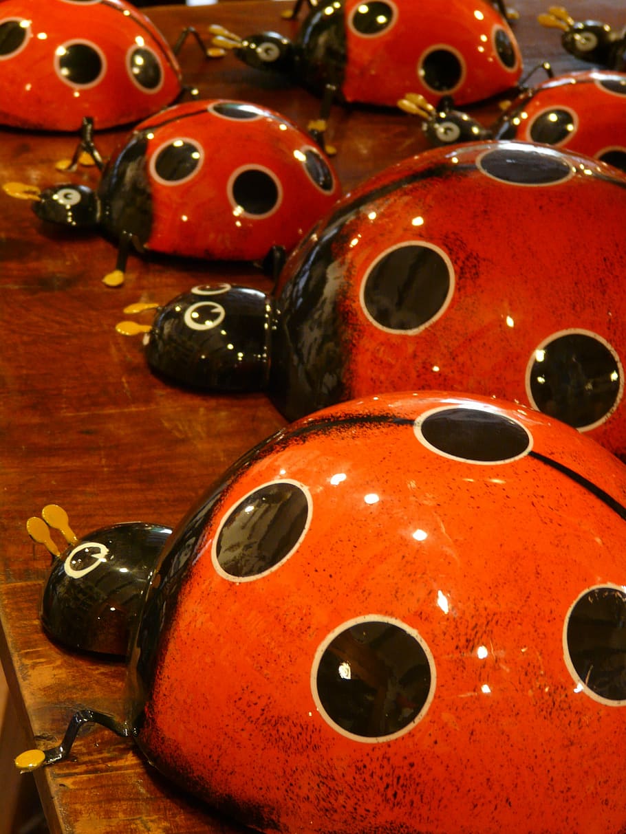 Ladybug, Pottery, Ceramic, Red, Color, colorful, gaudy, funny HD wallpaper