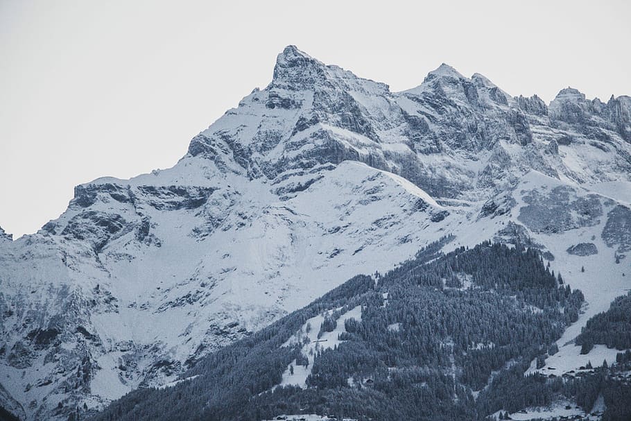 mountain covered with snow, alp mountain, rock, peak, tree, cold temperature HD wallpaper