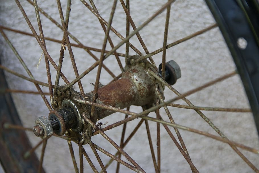 spokes, old, rusty, detail, bicycle hub, wheel hub, animal themes HD wallpaper