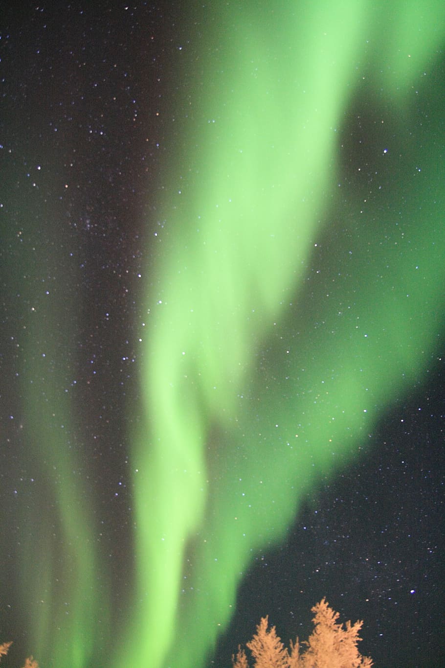aurora, night, natural, beauty in nature, astronomy, green color HD wallpaper