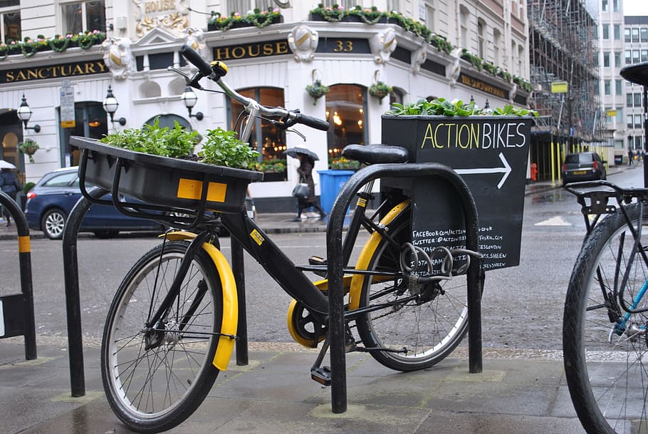 London, Flowers, Uk, Outdoor, urban, europe, city, bicycle