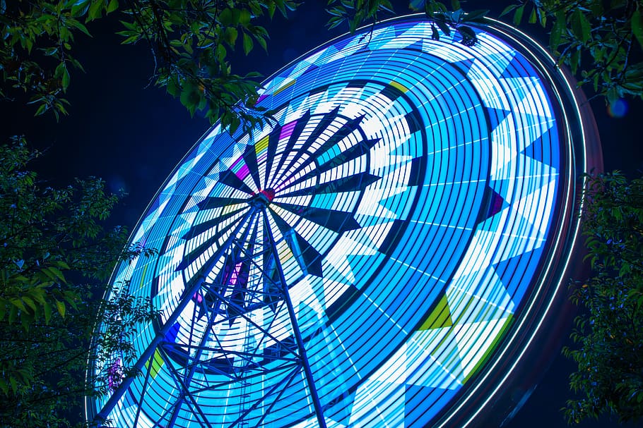 lighted Ferris wheel in low-angle photography at night, round blue and white board beside green leaves HD wallpaper