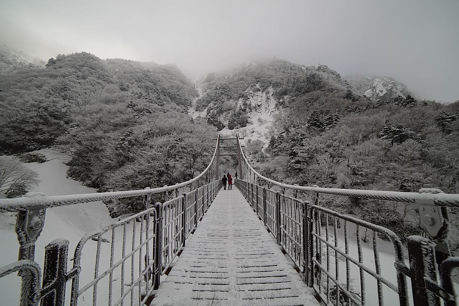greyscale photo of hanging bridge, mountain, halla, snow, landscape HD wallpaper