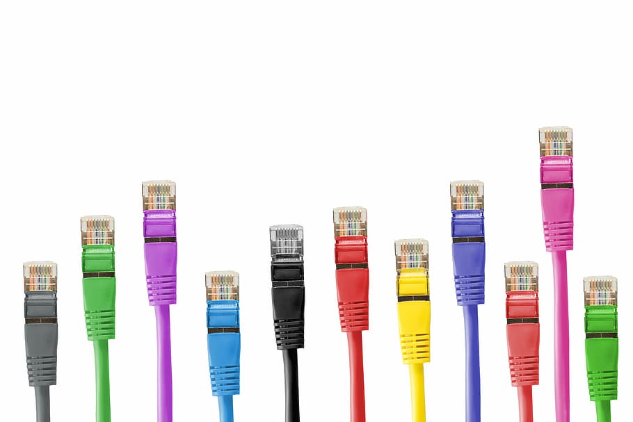 assorted-color Ethernet cables, network cables, network connector, HD wallpaper