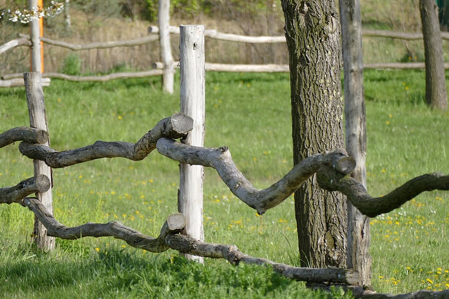 fence, nature, tree, grass, plant, barrier, boundary, no people HD wallpaper