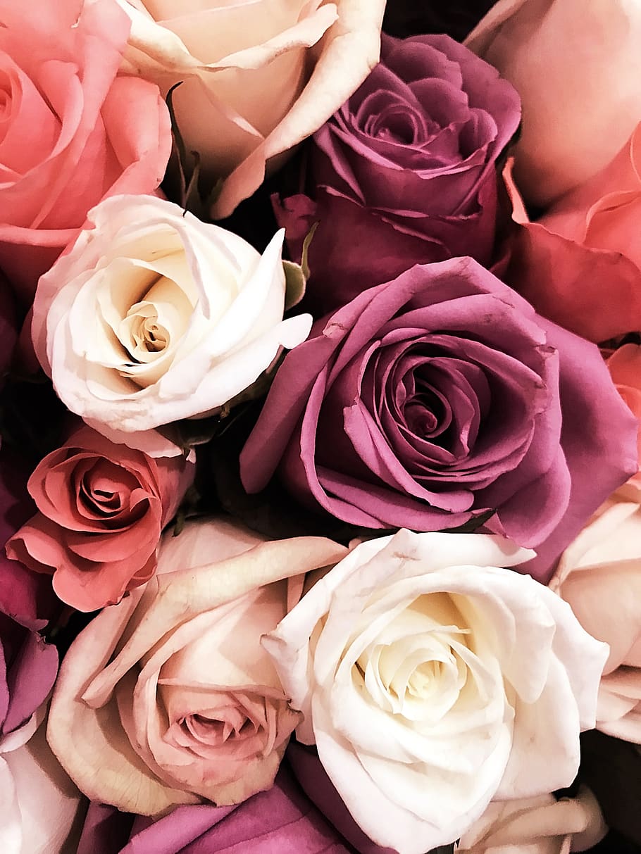 flowers, bouquet, pink, rose, roses, wedding, boho, mauve, purple