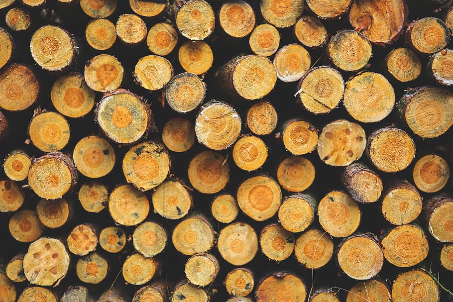 brown wood log lot on pile, forest, heating, fire, fireplace HD wallpaper