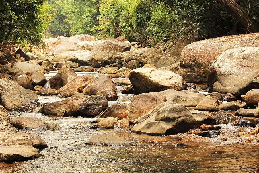 nature, water, rock, stream, river, landscape, environment HD wallpaper