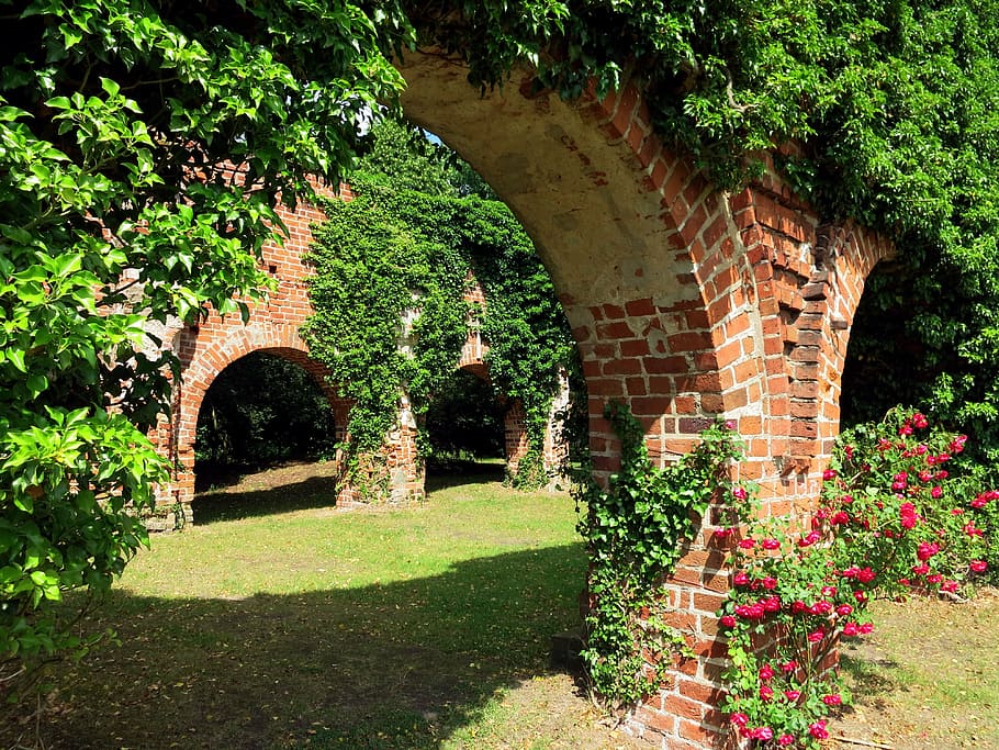 brown concrete arch with green vines at daytime, archway, masonry HD wallpaper