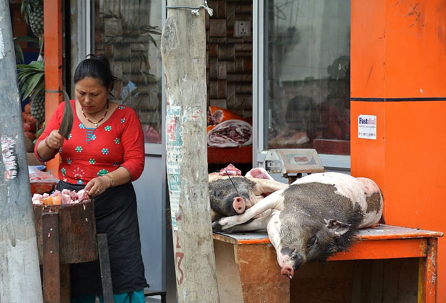 Nepal, Kathmandu, Woman, Pig, Slaughter, cook, pork, meat, food, HD wallpaper