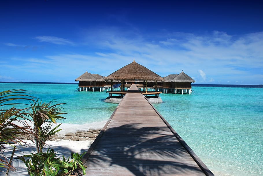 gray dock, maldives, ile, beach, sun, holiday, ocean, nature HD wallpaper