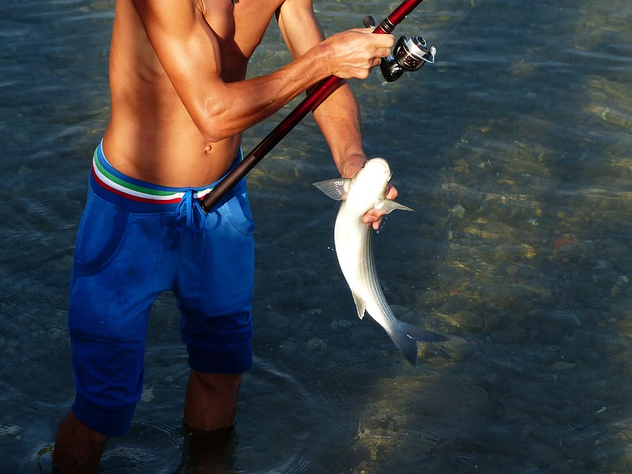 man holding cat fish, angler, human, person, angel, fishing rod