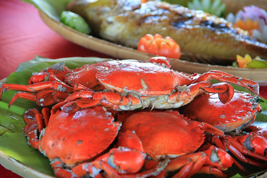 crabs, seafood, palawan, fresh, food and drink, freshness, healthy eating, HD wallpaper