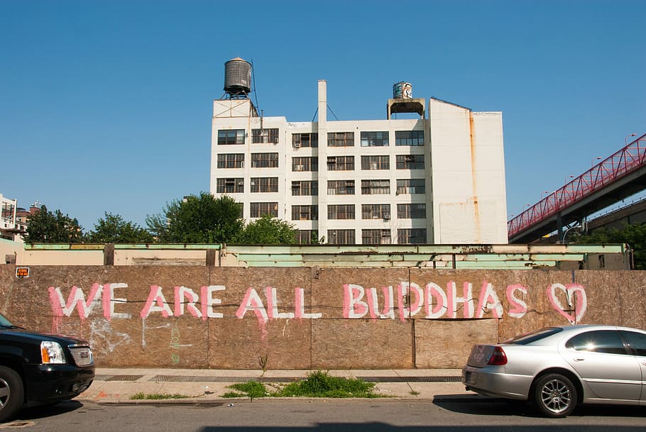 white concrete building during daytime, We Are All Buddhas wall graffiti HD wallpaper
