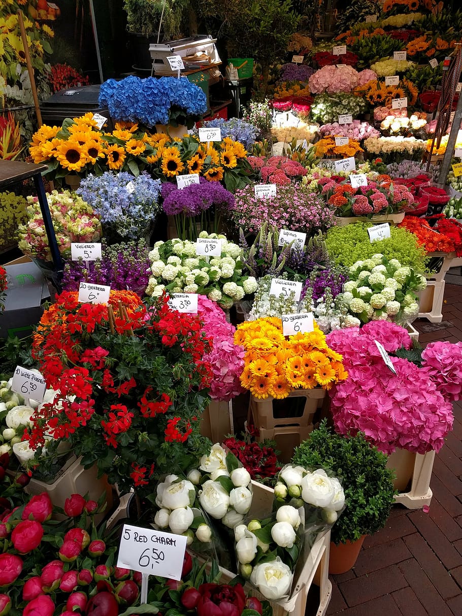 HD wallpaper: flowers, market, blossom, amsterdam, colorful, bouquet