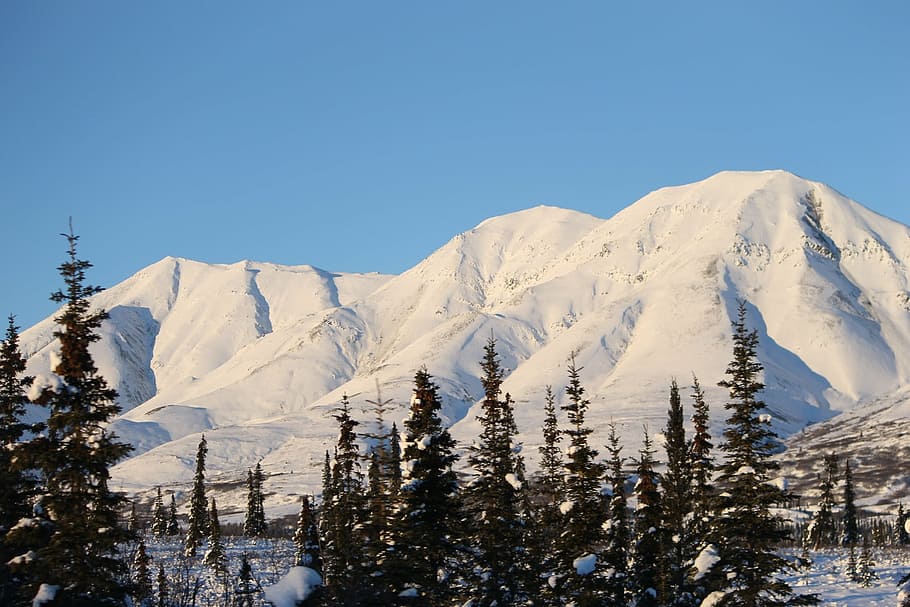 alaska, mountain, white, cold, winter, snow, scenic, wilderness HD wallpaper