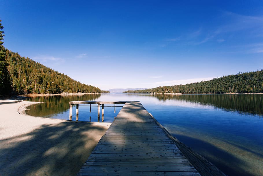 gray dock on body of water near green leafed trees, dock on calm body of water surrounded with trees at daytime HD wallpaper