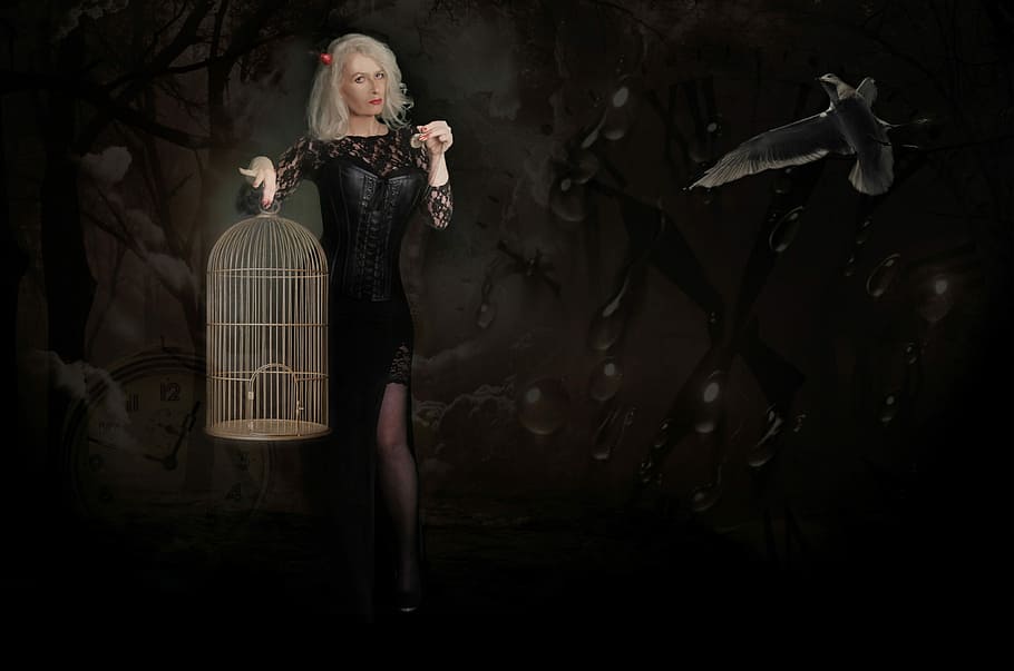 woman in black long-sleeved side-slit dress holding birdcage, HD wallpaper