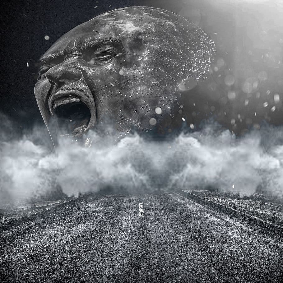 nope, thank, you, anger, spooky, emotion, furious, communication HD wallpaper