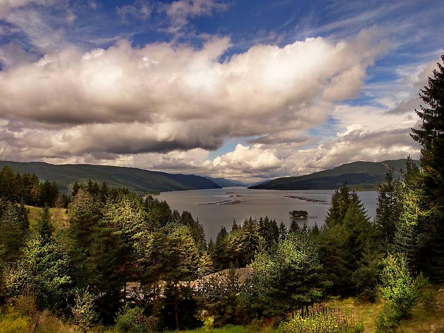 lake with trees and clouds, tall green trees within mountain range during daytime HD wallpaper