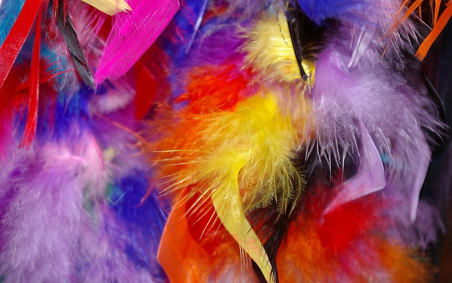 HD wallpaper: feather, colorful feathers, carnival, stoles, background ...