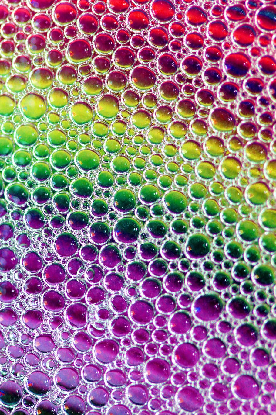 assorted-color dew art, Abstract, Macro, Colourful, Bubbles HD wallpaper