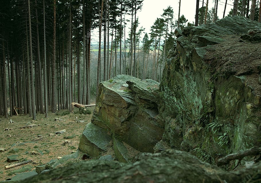 rocks, ridge, stone, mountains, forest, cut, tree, nature, at the court of HD wallpaper