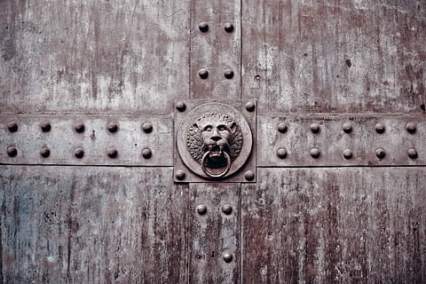brown lion knocker, goal, portal, door, input, gate, historically HD wallpaper