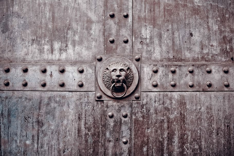 brown lion knocker, goal, portal, door, input, gate, historically HD wallpaper