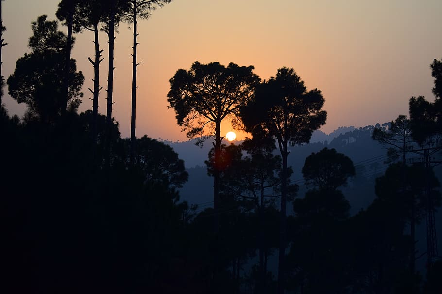 sunset, trees, mountains, murree, pakistan, landscape, palm trees HD wallpaper