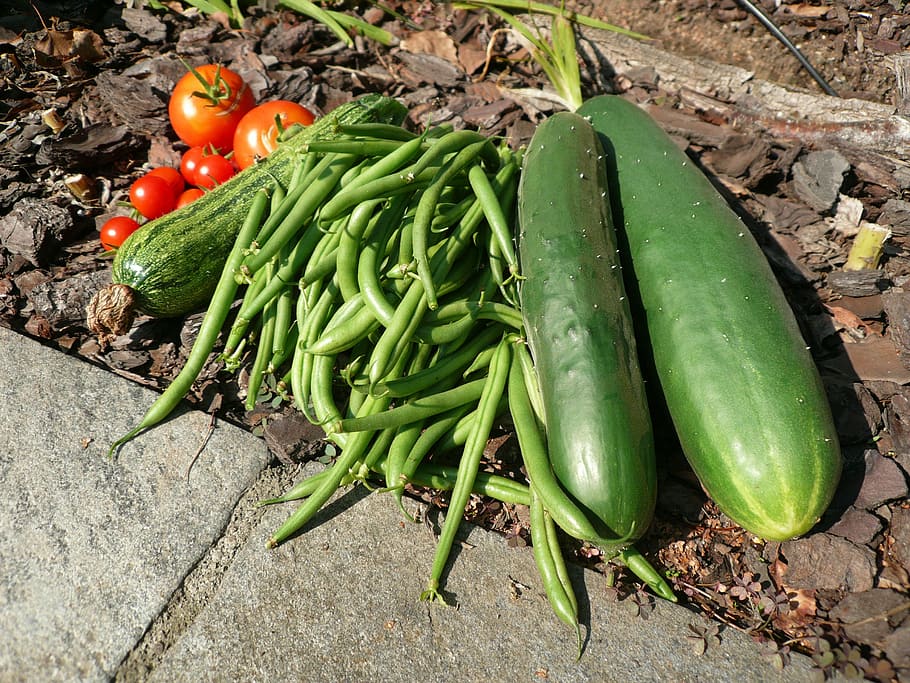 vegetables, cucumber, green beans, tomatoes, vegetarian, food HD wallpaper