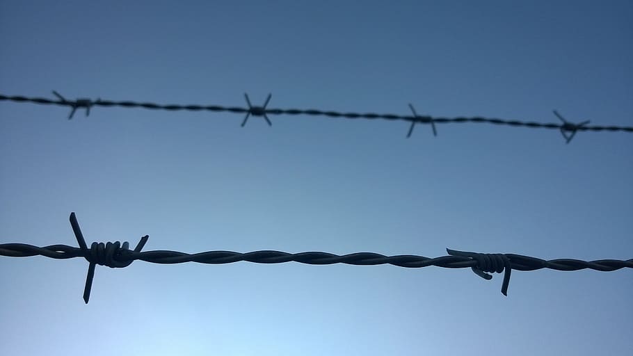 barbed wire, symbol, caught, safety, protection, security, metal HD wallpaper