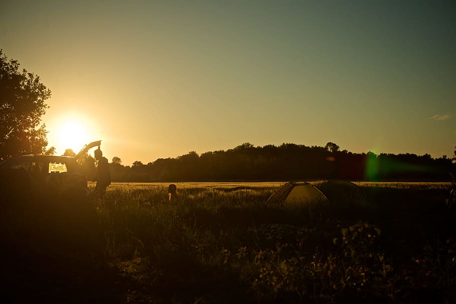 group of people camping on grass field, silhouette of man standing beside car HD wallpaper