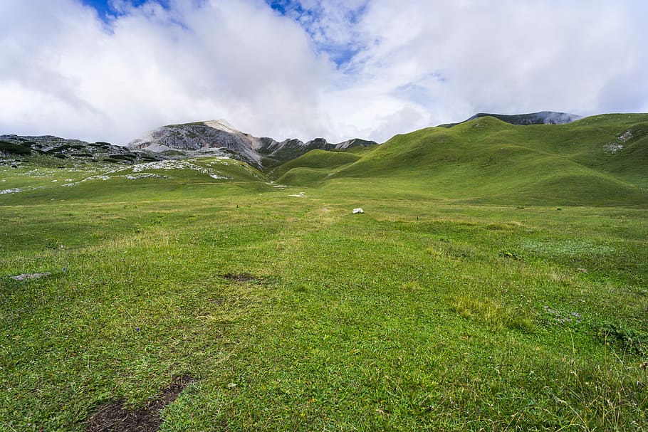 green grass field, green grass field during day time, hill, cloud HD wallpaper