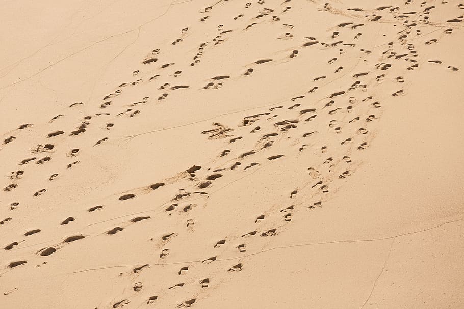 footprints on brown dessert, beach footprints, sand, tracks, desert HD wallpaper