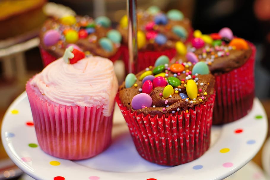 Birthday cupcakes, chocolate, chocolate buttons, sweet, dessert, HD wallpaper