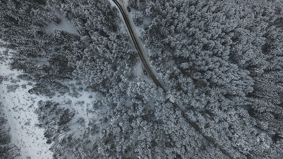 high-angle photography of forest, snow, winter, white, cold, weather, HD wallpaper