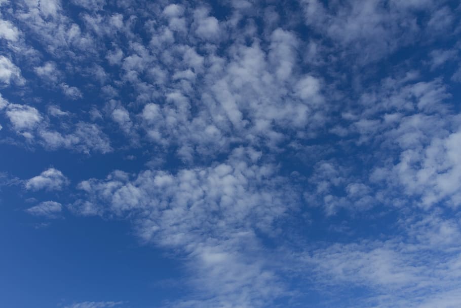 Clouds, Blue Sky, Sunny, cloud - sky, backgrounds, cloudscape HD wallpaper