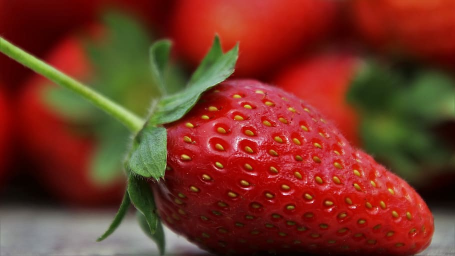 strawberry in shallow focus, red, fruit, eating, juicy, nature HD wallpaper