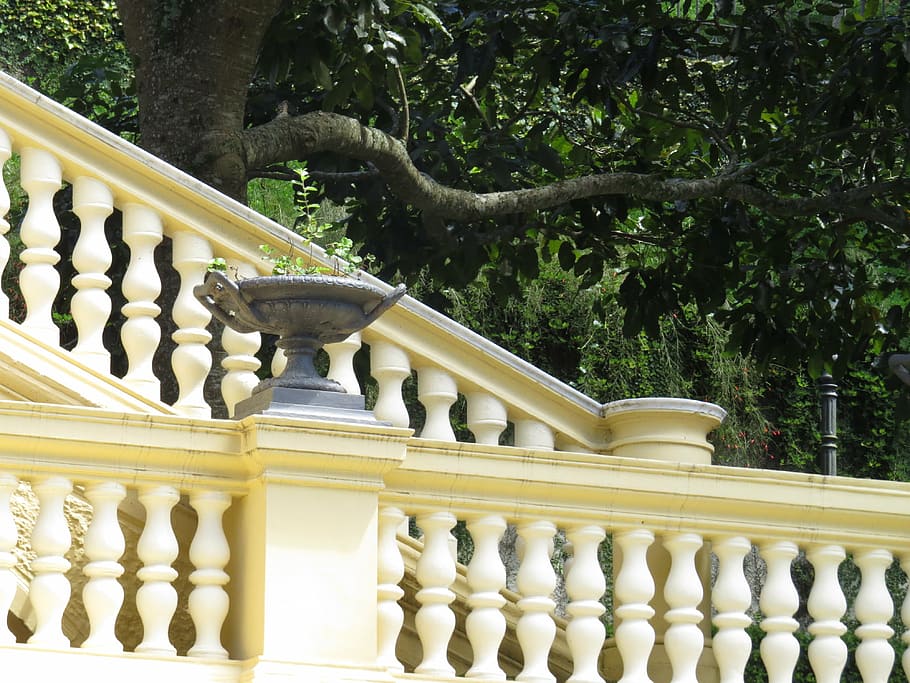 camera, palace, yellow, architecture, built structure, tree HD wallpaper