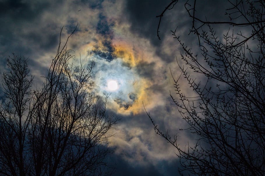 Nature, Wood, Blue, Tree, Sun, Dark, sky, cloud, landscape HD wallpaper