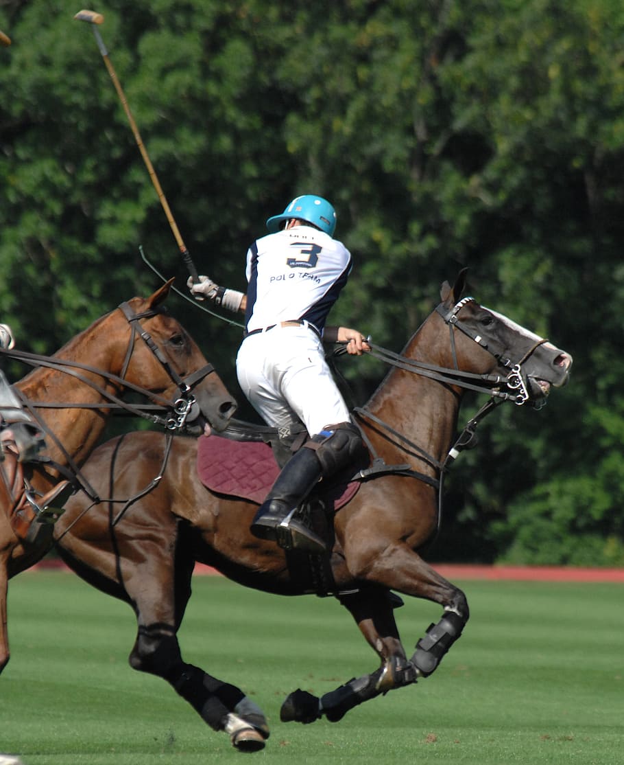 man riding horse playing croquet during daytime, polo, player