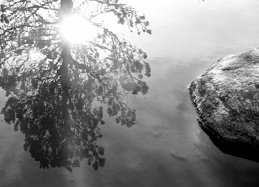 lake, reflection, tree, rock, pyrenees, beauty in nature, tranquility HD wallpaper