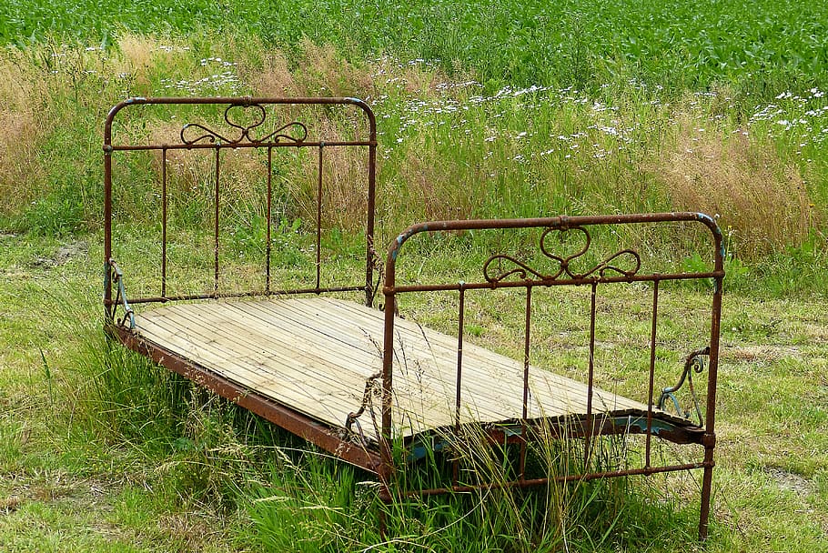 Bed, Field, Stainless, Nature, in the, out, summer, landscape HD wallpaper